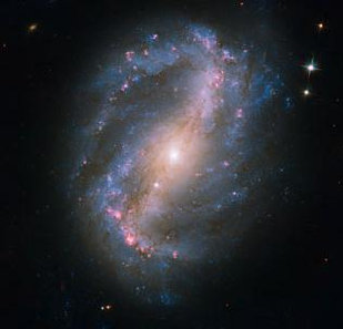 markury004002.jpg